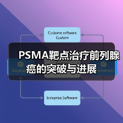 PSMA靶点治疗前列腺癌的突破与进展（图4）