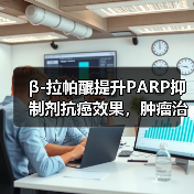 β-拉帕醌提升PARP抑制剂抗癌效果，肿瘤治疗选择性增强（图1）