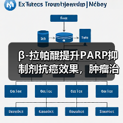 β-拉帕醌提升PARP抑制剂抗癌效果，肿瘤治疗选择性增强（图3）