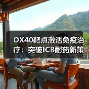 OX40靶点激活免疫治疗：突破ICB耐药新策略（图2）
