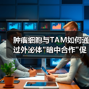 肿瘤细胞与TAM如何通过外泌体