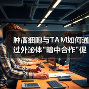 肿瘤细胞与TAM如何通过外泌体