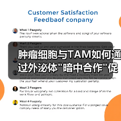 肿瘤细胞与TAM如何通过外泌体