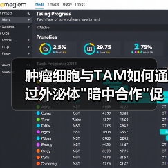 肿瘤细胞与TAM如何通过外泌体