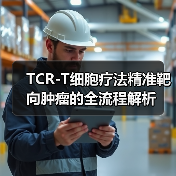 TCR-T细胞疗法精准靶向肿瘤的全流程解析（图1）