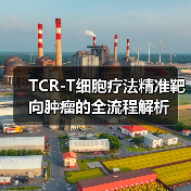 TCR-T细胞疗法精准靶向肿瘤的全流程解析（图2）