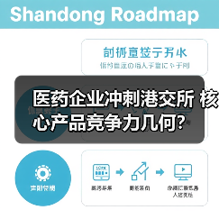 医药企业冲刺港交所 核心产品竞争力几何？（图2）