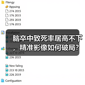 脑卒中致死率居高不下，精准影像如何破局？（图1）