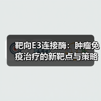 靶向E3连接酶：肿瘤免疫治疗的新靶点与策略（图3）