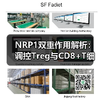 NRP1双重作用解析：调控Treg与CD8+T细胞，推动免疫治疗进展（图1）