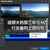 连锁大药房三年亏4亿，行业盈利之路何在？（图4）