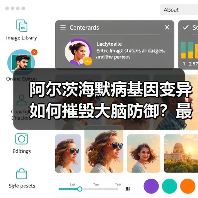 阿尔茨海默病基因变异如何摧毁大脑防御？最新研究揭示风险因素（图1）