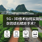 5G+3D技术如何实现复杂肾结石精准手术？（图4）