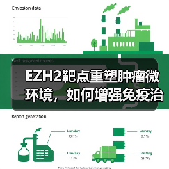 EZH2靶点重塑肿瘤微环境，如何增强免疫治疗效果？（图2）