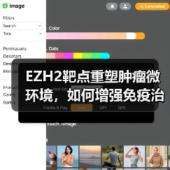 EZH2靶点重塑肿瘤微环境，如何增强免疫治疗效果？（图3）