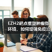 EZH2靶点重塑肿瘤微环境，如何增强免疫治疗效果？（图4）