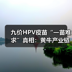 九价HPV疫苗“一苗难求”真相:黄牛产业链如何催生供需矛盾?(图2) 九价HPV疫苗“一苗难求”真相:黄牛产业链如何催生供需矛盾?(图2)
