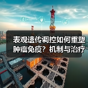 表观遗传调控如何重塑肿瘤免疫？机制与治疗潜力解析（图1）
