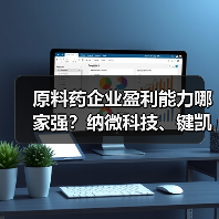 原料药企业盈利能力哪家强?纳微科技、键凯科技领跑榜单(图4) 原料药企业盈利能力哪家强?纳微科技、键凯科技领跑榜单(图4)