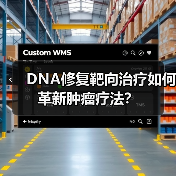DNA修复靶向治疗如何革新肿瘤疗法？（图3）