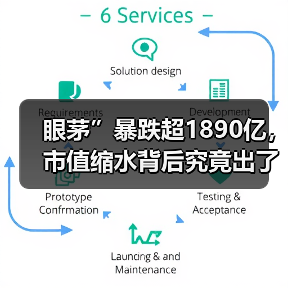 眼茅”暴跌超1890亿,市值缩水背后究竟出了什么问题?(图3) 眼茅”暴跌超1890亿,市值缩水背后究竟出了什么问题?(图3)