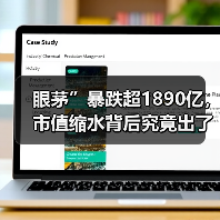 眼茅”暴跌超1890亿,市值缩水背后究竟出了什么问题?(图4) 眼茅”暴跌超1890亿,市值缩水背后究竟出了什么问题?(图4)