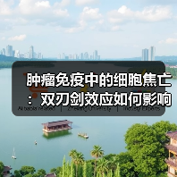肿瘤免疫中的细胞焦亡:双刃剑效应如何影响抗癌治疗?(图1) 肿瘤免疫中的细胞焦亡:双刃剑效应如何影响抗癌治疗?(图1)