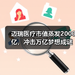 迈瑞医疗市值蒸发2000亿，冲击万亿梦想成谜？（图4）