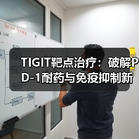 TIGIT靶点治疗:破解PD-1耐药与免疫抑制新路径(图3) TIGIT靶点治疗:破解PD-1耐药与免疫抑制新路径(图3)