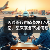 迈瑞医疗市值蒸发1700亿,集采寒冬下如何破局?(图2) 迈瑞医疗市值蒸发1700亿,集采寒冬下如何破局?(图2)