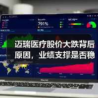 迈瑞医疗股价大跌背后原因，业绩支撑是否稳固？（图1）
