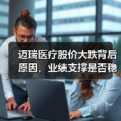 迈瑞医疗股价大跌背后原因，业绩支撑是否稳固？（图3）