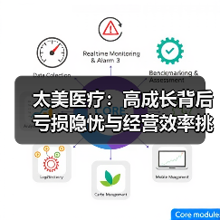 太美医疗：高成长背后亏损隐忧与经营效率挑战（图2）