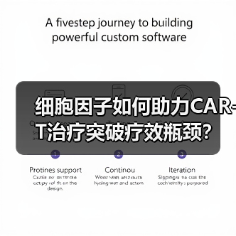 细胞因子如何助力CAR-T治疗突破疗效瓶颈?(图4) 细胞因子如何助力CAR-T治疗突破疗效瓶颈?(图4)
