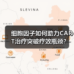 细胞因子如何助力CAR-T治疗突破疗效瓶颈?(图3) 细胞因子如何助力CAR-T治疗突破疗效瓶颈?(图3)