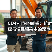 CD4+T细胞耗竭:抗肿瘤与慢性感染中的双重难题(图1) CD4+T细胞耗竭:抗肿瘤与慢性感染中的双重难题(图1)