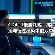 CD4+T细胞耗竭:抗肿瘤与慢性感染中的双重难题(图4) CD4+T细胞耗竭:抗肿瘤与慢性感染中的双重难题(图4)