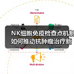 NK细胞免疫检查点机制如何推动抗肿瘤治疗新突破(图2) NK细胞免疫检查点机制如何推动抗肿瘤治疗新突破(图2)