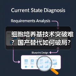 细胞培养基技术突破难?国产替代如何破局?(图3) 细胞培养基技术突破难?国产替代如何破局?(图3)