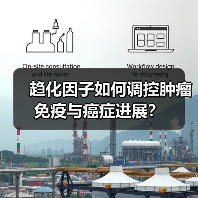 趋化因子如何调控肿瘤免疫与癌症进展?(图4) 趋化因子如何调控肿瘤免疫与癌症进展?(图4)