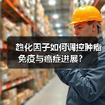 趋化因子如何调控肿瘤免疫与癌症进展?(图3) 趋化因子如何调控肿瘤免疫与癌症进展?(图3)