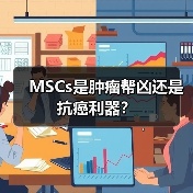 MSCs是肿瘤帮凶还是抗癌利器?(图2) MSCs是肿瘤帮凶还是抗癌利器?(图2)