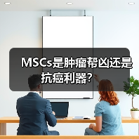 MSCs是肿瘤帮凶还是抗癌利器?(图3) MSCs是肿瘤帮凶还是抗癌利器?(图3)