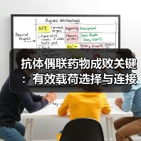 抗体偶联药物成败关键:有效载荷选择与连接子设计如何决定疗效?(图3) 抗体偶联药物成败关键:有效载荷选择与连接子设计如何决定疗效?(图3)