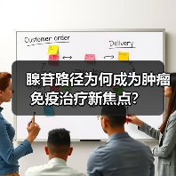 腺苷路径为何成为肿瘤免疫治疗新焦点?(图2) 腺苷路径为何成为肿瘤免疫治疗新焦点?(图2)