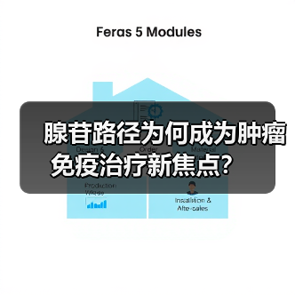 腺苷路径为何成为肿瘤免疫治疗新焦点?(图4) 腺苷路径为何成为肿瘤免疫治疗新焦点?(图4)