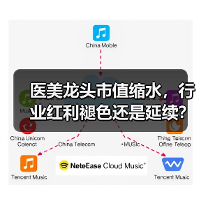 医美龙头市值缩水，行业红利褪色还是延续？（图3）