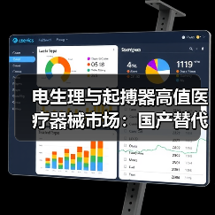 电生理与起搏器高值医疗器械市场：国产替代加速，国产化程度低？（图2）