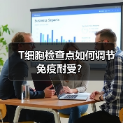 T细胞检查点如何调节免疫耐受？（图1）
