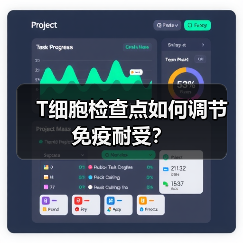 T细胞检查点如何调节免疫耐受？（图3）